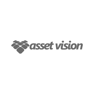 asset-vision